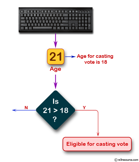 Detrermine a specific age is eligible for casting the vote
