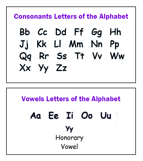 Java-Exercises: Separate consonants and vowels from a given string.